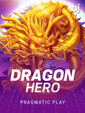 Dragon Hero